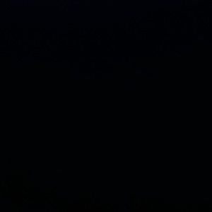 Meet your Posher, Alondra